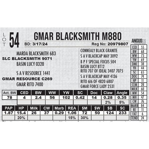 GMAR Blacksmith M880