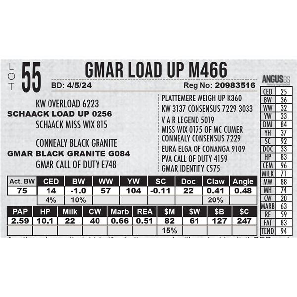 GMAR Load Up M466