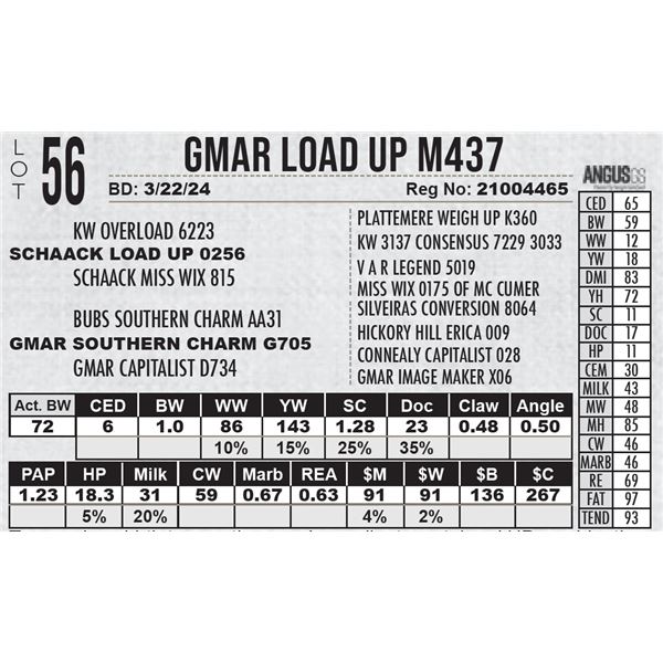 GMAR Load Up M437