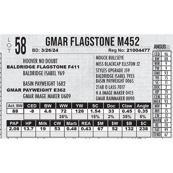 GMAR Flagstone M452