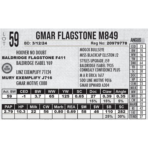 GMAR Flagstone M849