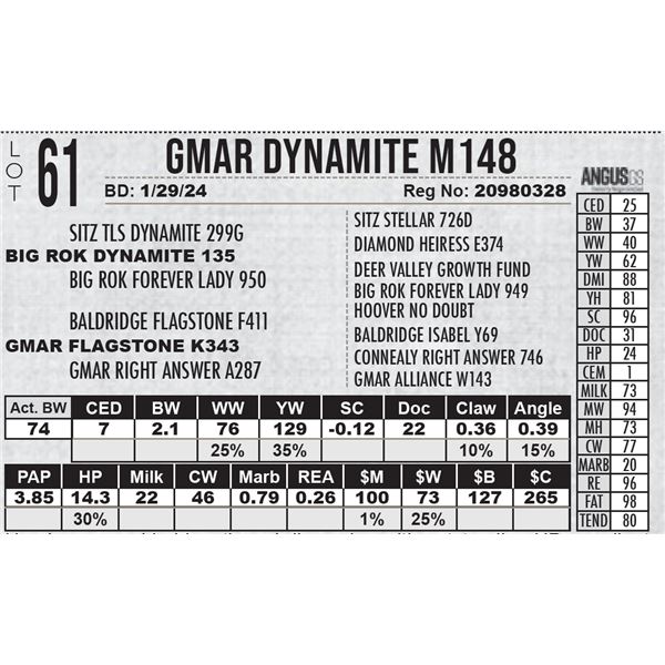 GMAR Dynamite M148