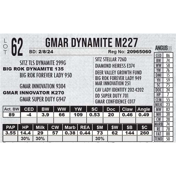 GMAR Dynamite M227