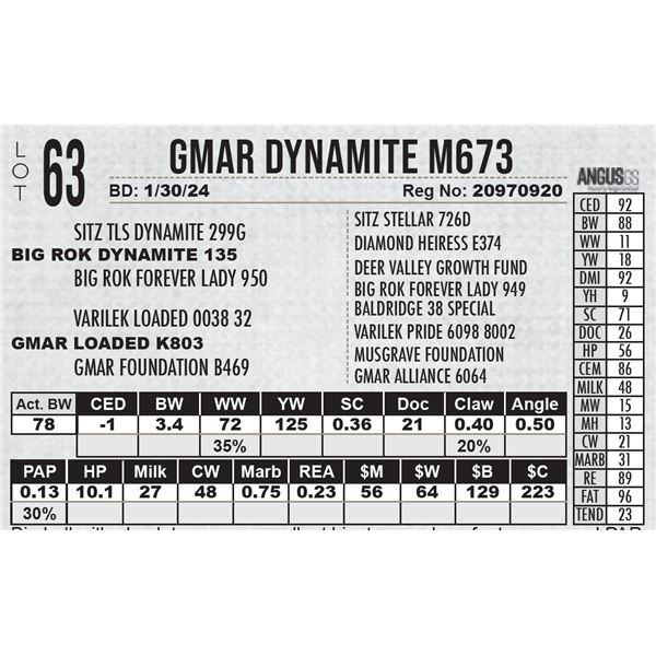 GMAR Dynamite M673