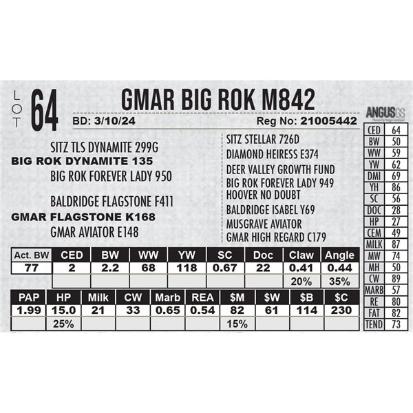 GMAR Big Rok M842