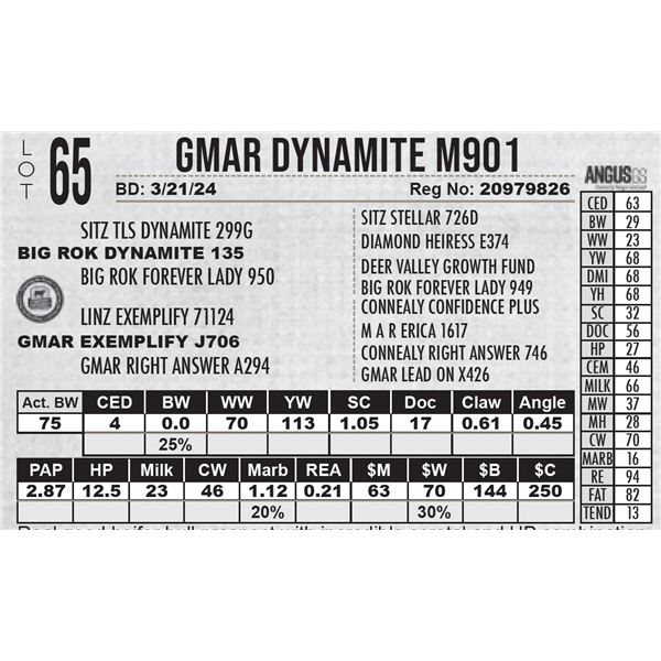 GMAR Dynamite M901