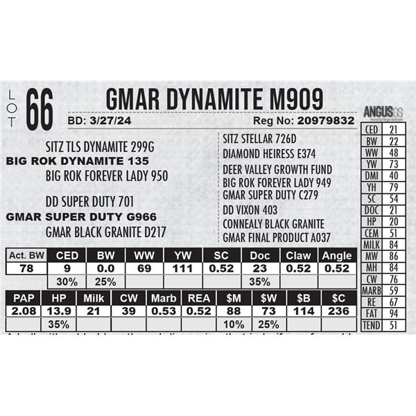 GMAR Dynamite M909
