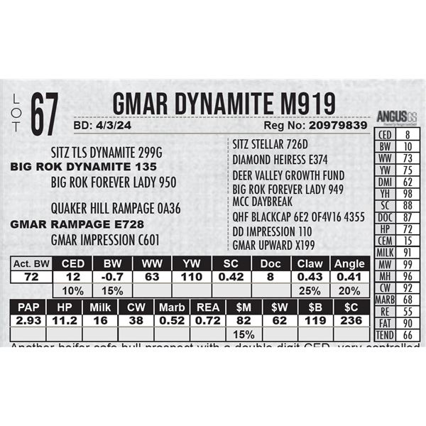 GMAR Dynamite M919