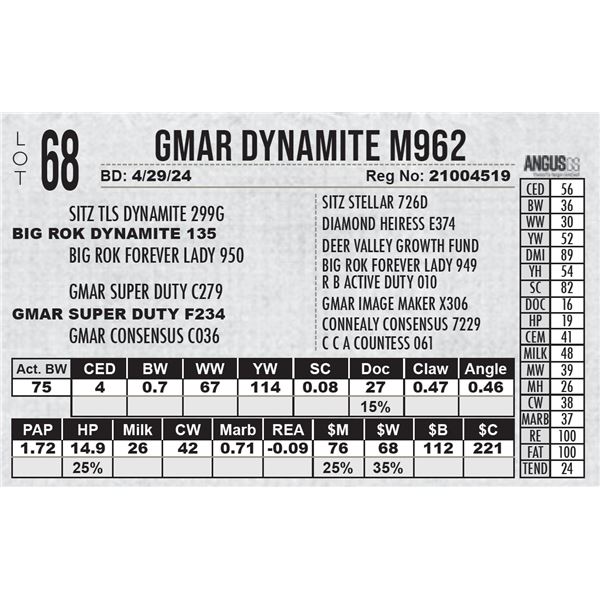 GMAR Dynamite M962