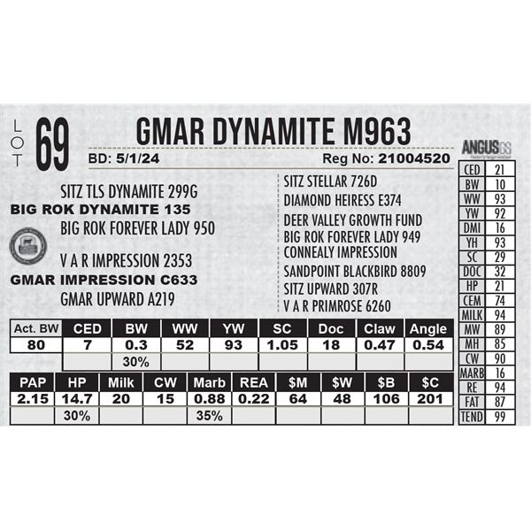 GMAR Dynamite M963