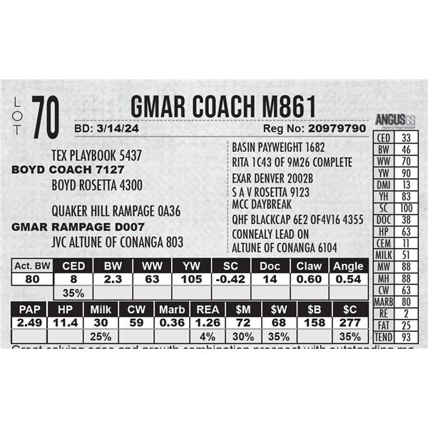 GMAR Coach M861