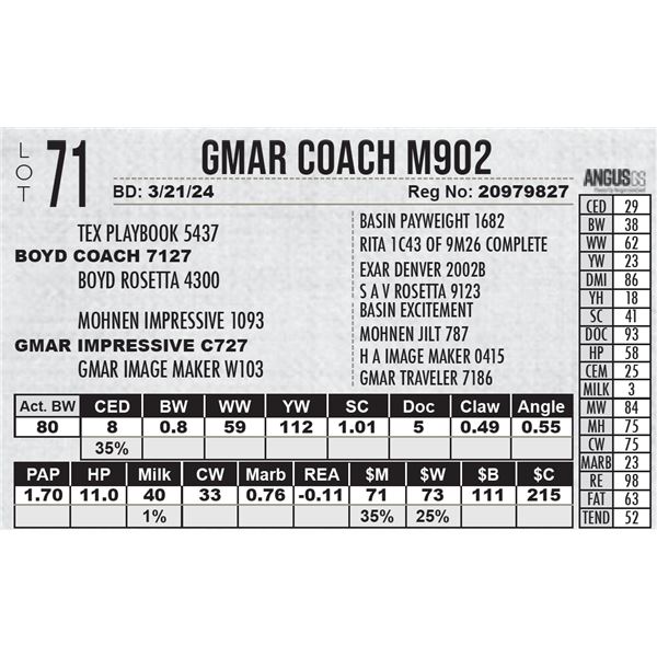 GMAR Coach M902