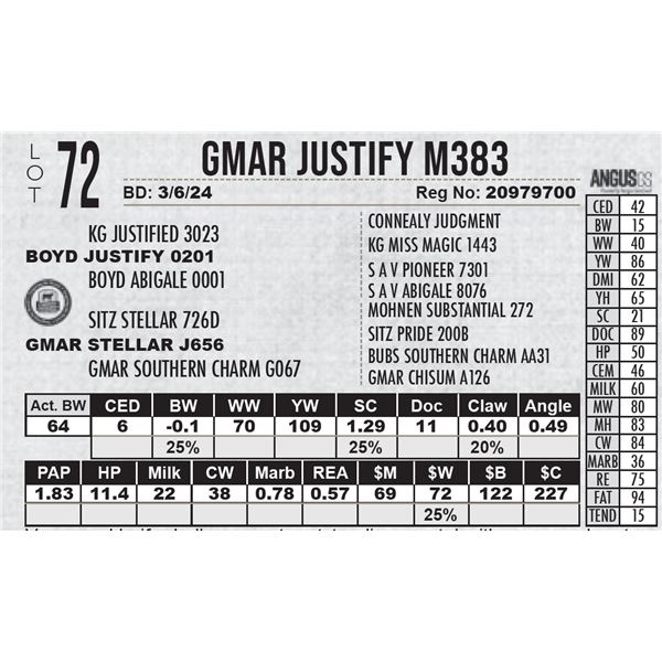 GMAR Justify M383