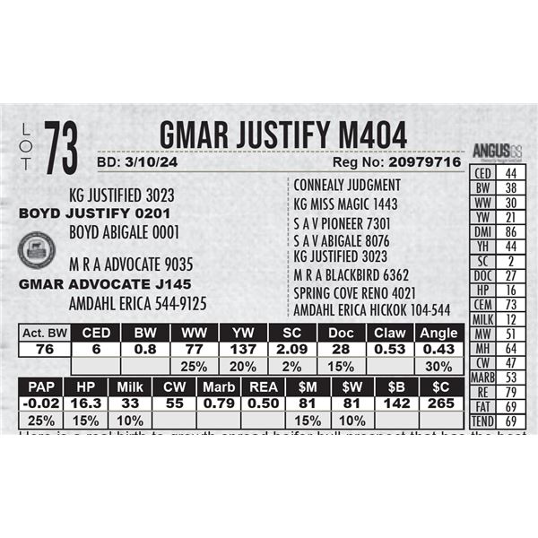 GMAR Justify M404