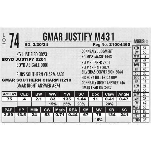 GMAR Justify M431