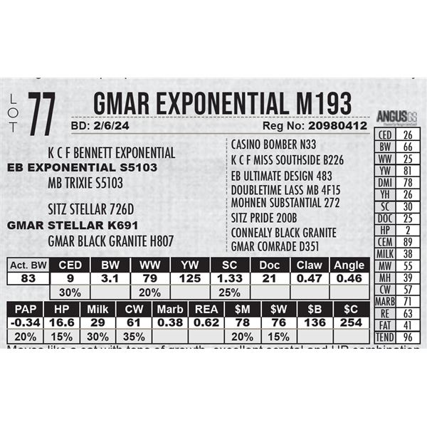 GMAR Exponential M193