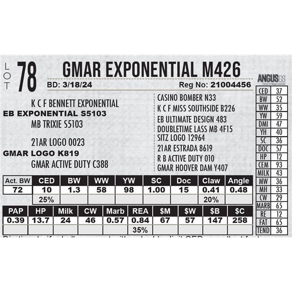 GMAR Exponential M426
