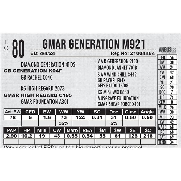 GMAR Generation M921