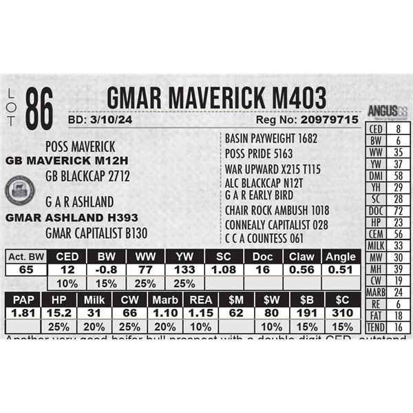 GMAR Maverick M403