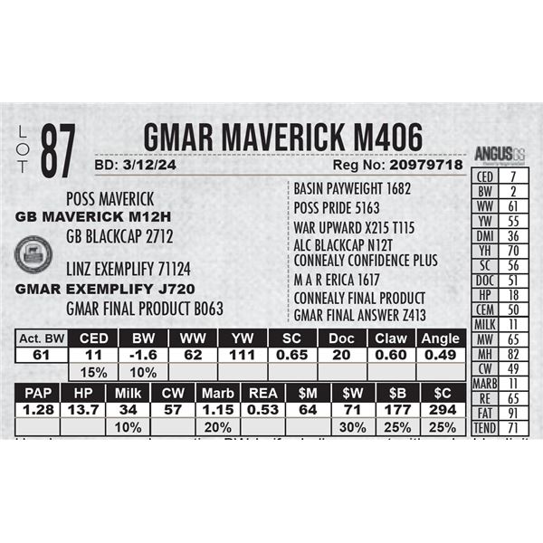 GMAR Maverick M406