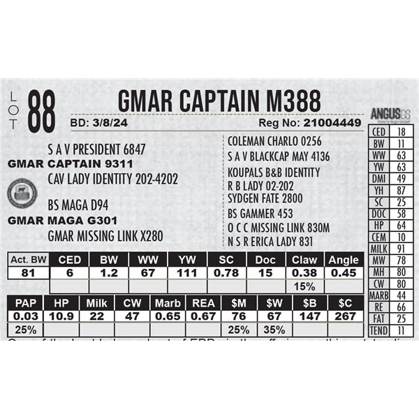 GMAR Captain M388