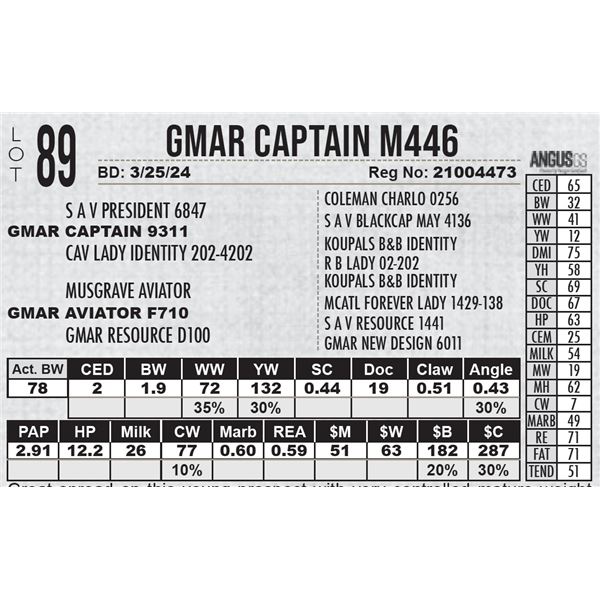 GMAR Captain M446