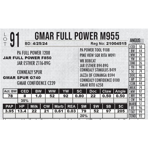 GMAR Full Power M955