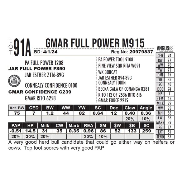 GMAR Full Power M915