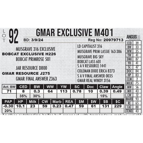 GMAR Exclusive M401