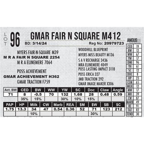 GMAR Fair N Square M412