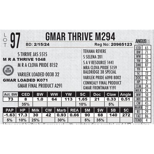 GMAR Thrive M294