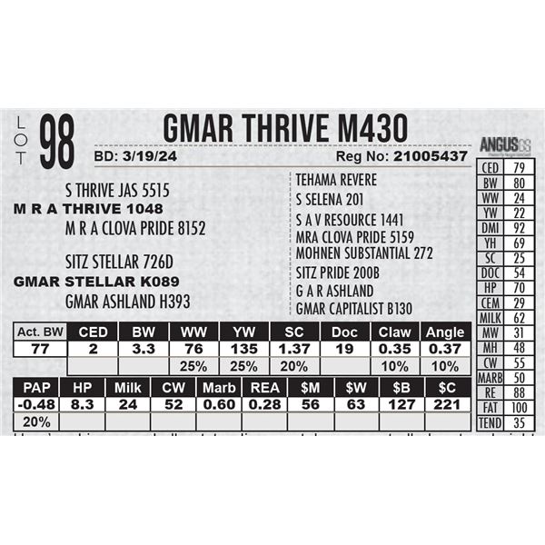 GMAR Thrive M430