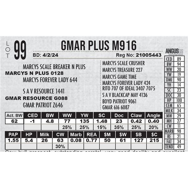 GMAR Plus M916