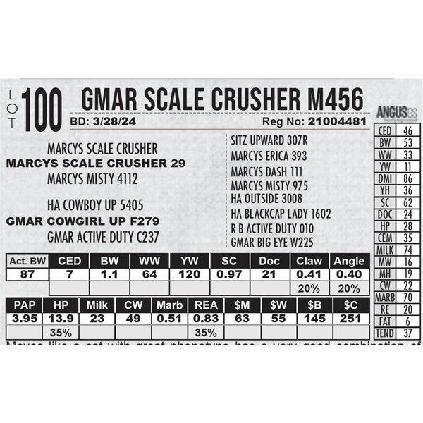 GMAR Scale Crusher M456