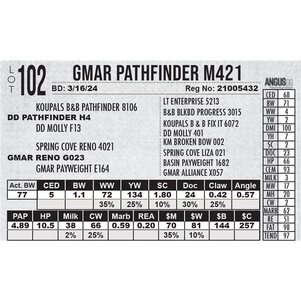 GMAR Pathfinder M421