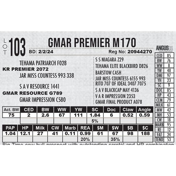 GMAR Premier M170