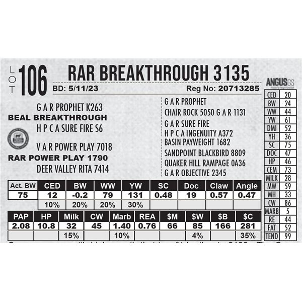 RAR Breakthrough 3135