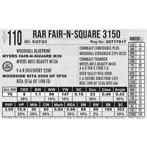 RAR Fair-N-Square 3150