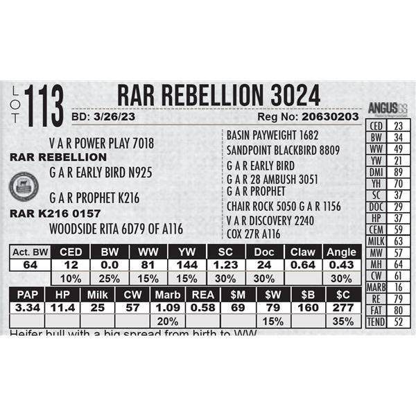 RAR Rebellion 3024