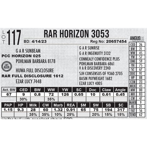 RAR Horizon 3053