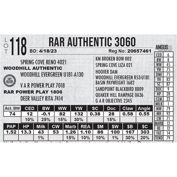 RAR Authentic 3060