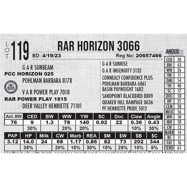 RAR Horizon 3066