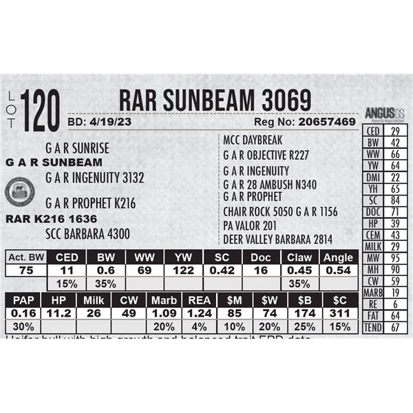 RAR Sunbeam 3069