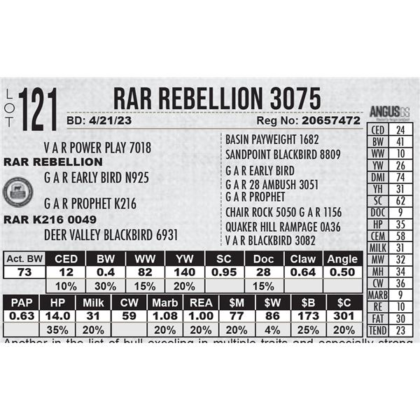 RAR Rebellion 3075