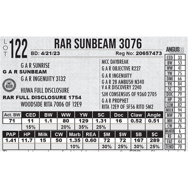RAR Sunbeam 3076