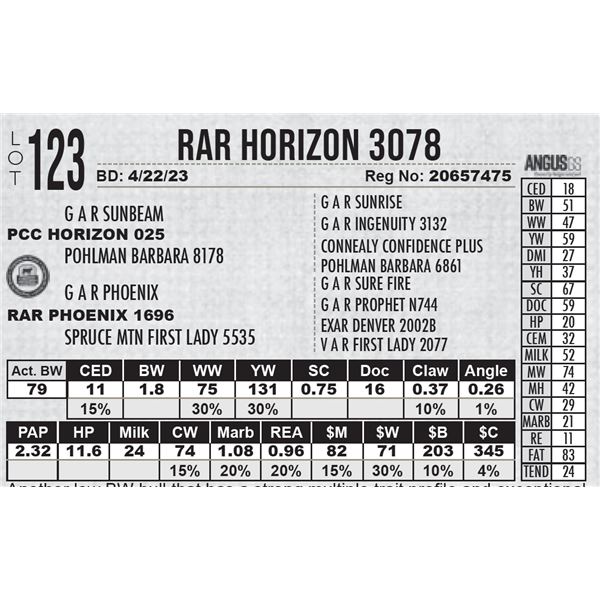 RAR Horizon 3078