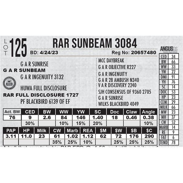 RAR Sunbeam 3084