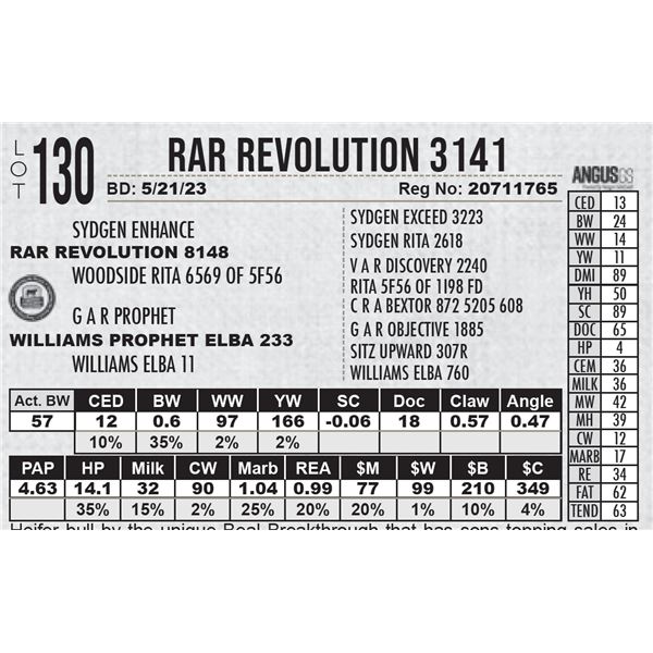 RAR Revolution 3141