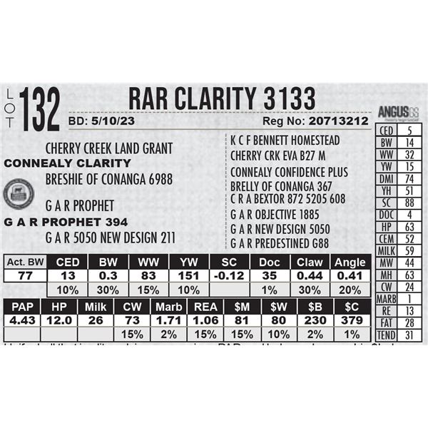 RAR Clarity 3133