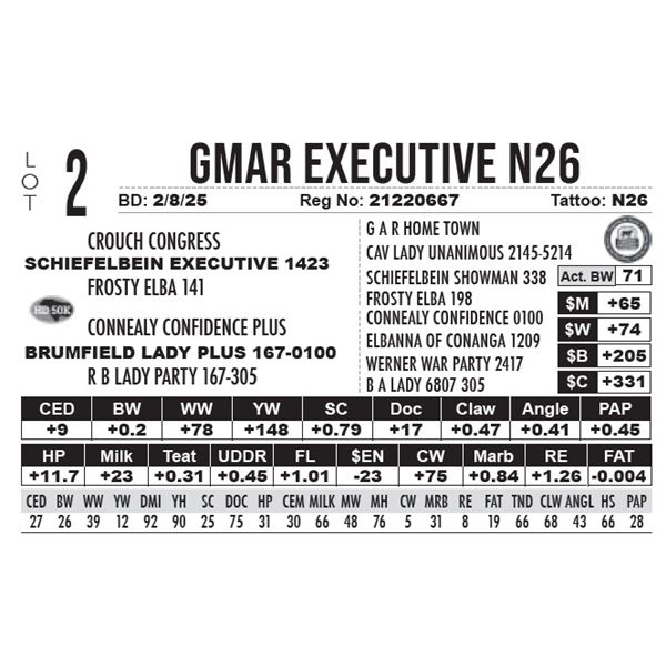 GMAR Executive N26